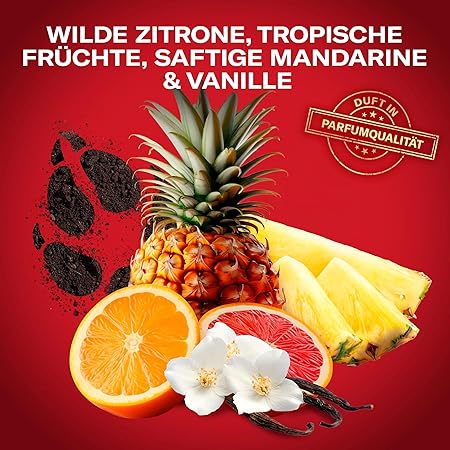 Old Spice Wolfthorn Deodorant Stick 50ml - Zallaq Store