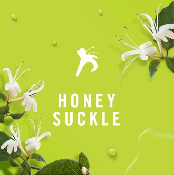 FEBREZE AIR FRESHENER HONEYSUCKLE