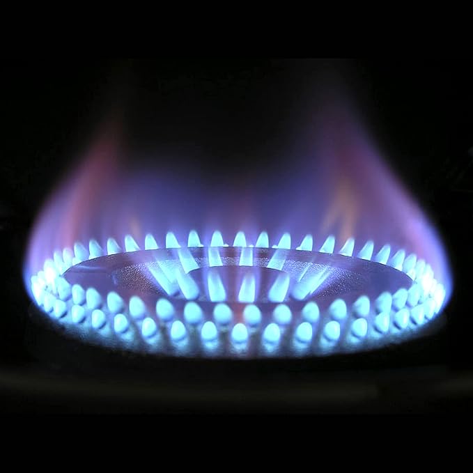 SIMBA Portable Stove Gas pack of 12- 220g - 400ml - Butane Gas for Camping Stoves, HIGH Performance Gas Mix | Butane GAS for Stoves