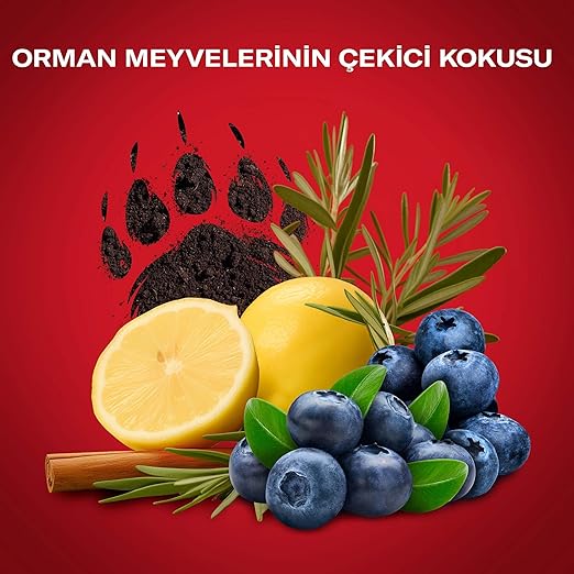 Old Spice Bearglove Deodorant Stick 50 ml - Zallaq Store