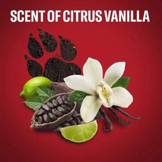 Old Spice Rock Antiperspirant and Deodorant Stick for Men, 50 ml - Zallaq Store