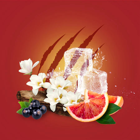 Old Spice TigerClaw Deodorant Stick 50ml - Zallaq Store